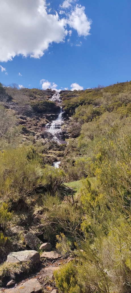 WhatsApp Image 2026-04-08 at 07.40.55 (5)